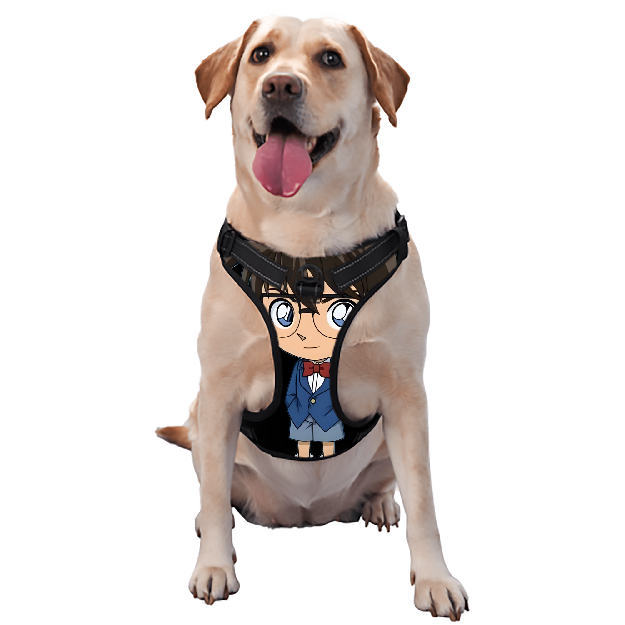 （画像用） 名探偵コナン 江戸川 コナン Detective Conan Conan Edogawa ペット用ハーネス